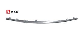 BYD 43SEALU25018FD - MOLDURA CROMADA PARACHOQUES DELANTERO DERECHA INFERIOR
