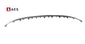 BYD 43SEALU25116 - MOLDURA REJILLA DELANTERA