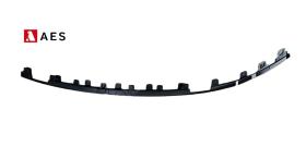 BYD 43SEALU25116L - MOLDURA PARACHOQUES DELANTERO DERECHA