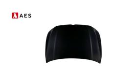 VOLKSWAGEN 21GF20015 - CAPO 2018