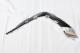 AUDI 22A420038SL - SPOILER PARACHOQUES TRASERO IZQUIERDO S-LINE