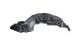 TOYOTA 11CRL19027R - PASE DE RUEDAS DELANTERO  DERECHO