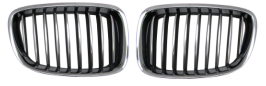 Rejilla OEM 51137200167