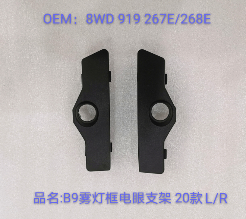 A4 B9 20 Fog Lamp Grille Bracket (R)  8WD 807 268 