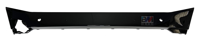 Front Decoration board 51119853309 
